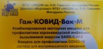 Гам-КОВИД-Вак-М, раствор для внутримышечного введения компонент I-0.5 мл/доза 1 мл (2 дозы) + компонент II-0.5 мл/доза 1 мл (2 дозы) 10+10 шт Комбинированная векторная вакцина для профилактики коронавирусной инфекции, вызываемой вирусом SARS-CoV-2 (Спутник-М) ампулы